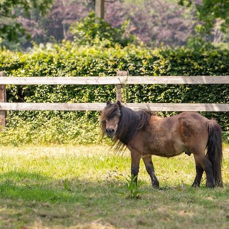 Het Spechtennest Zedelgem Bagian luar foto