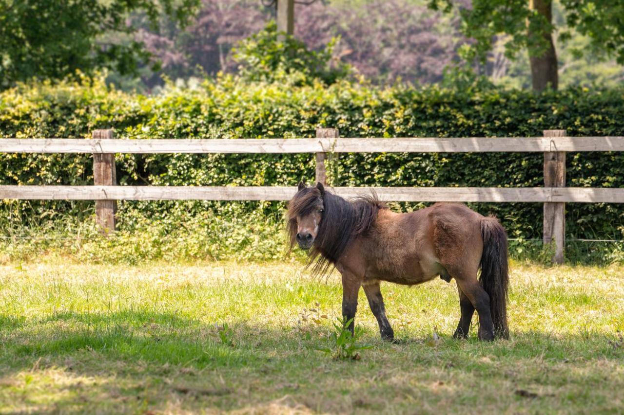 Het Spechtennest Zedelgem Bagian luar foto